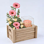 Pink Gerbera & Red Velvet Cake Gift Combo