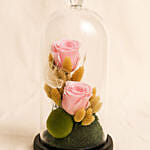 Pink Forever Rose in A Glass Dome