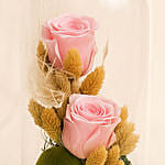 Pink Forever Rose in A Glass Dome