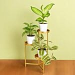 Reduce Noise And Air Pollution Plant Stand