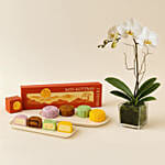 Mid-Autumn Snowskin Mooncake Box of 4 with White Orchid Plant Gift Set
