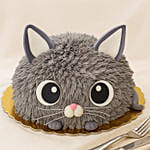 Cat Face Cake