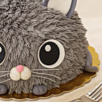 Cat Face Cake