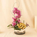 Cybidium and Rochers Chocolate