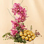 Cybidium and Rochers Chocolate
