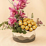 Cybidium and Rochers Chocolate