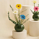 Gerbera Garden