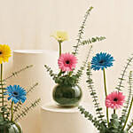 Gerbera Garden