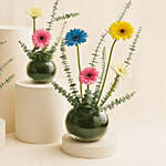 Gerbera Garden