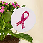 Inspiring Pink Flower Plant - Pink Ribbon