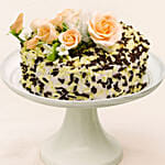 Chocolate and Vanilla Choco Chip Cake