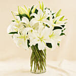 Serene Arranagement Of White Lilies