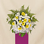 Yellow Gerberas White Pom In Beautiful Pink Stand