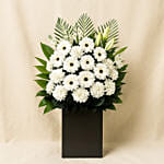 Daisy Condolence Stand
