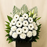 Daisy Condolence Stand
