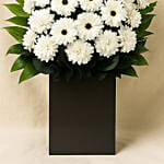 Daisy Condolence Stand