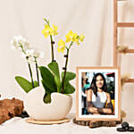 Mini Orchids with Photo Frame