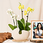 Mini Orchids with Photo Frame
