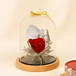 Red Forever Rose In Glass Dome With Mini Mousse Cake