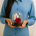 Beautiful Red Forever Rose In Glass Dome