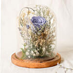 Forever Blue Preserved Rose