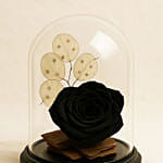 Forever Rose In Glass Dome- Black