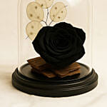 Forever Rose In Glass Dome- Black
