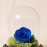 Forever Rose In Glass Dome- Blue
