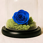 Forever Rose In Glass Dome- Blue