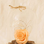 Forever Rose In Glass Dome- Peach
