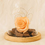 Forever Rose In Glass Dome- Peach