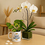 Orchid and Money Plant Bundle