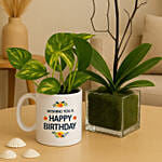 Orchid and Money Plant Bundle