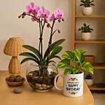 Birthday Bundle with Orchid and Money Plant