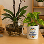 Birthday Bundle with Orchid and Money Plant