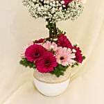 Mesmerised Pink Flowers