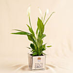 With Plant