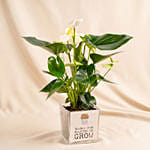 With Plant