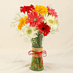 8 Mixed Brilliance Gerbera Vase