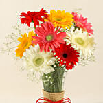 8 Mixed Brilliance Gerbera Vase