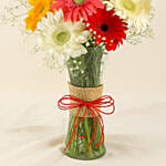 8 Mixed Brilliance Gerbera Vase