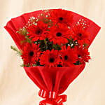 8 Red Elegance Gerbera Blossoms