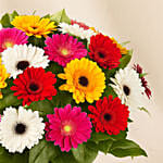 20 Summery Gerbera Blooming Bouquet