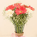 Gerberas White and Pink Carnations In Glass Vase