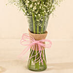 Gerberas White and Pink Carnations In Glass Vase