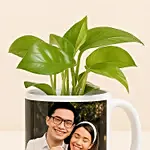 Picture Mug Money Plant