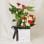 Flowers and Plants Box