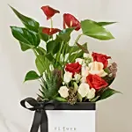 Flowers and Plants Box