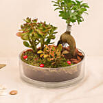 House Warming Plants in Glass Dish