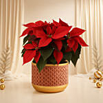 Poinsettia Plant In Wooden Vase